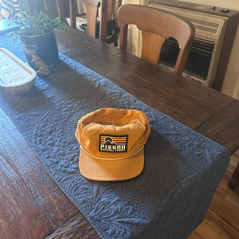 Pisgah National Forest Yellow Cap